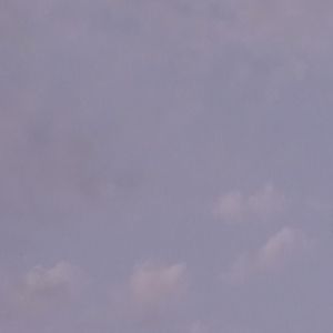 Meet your Posher, Braulio